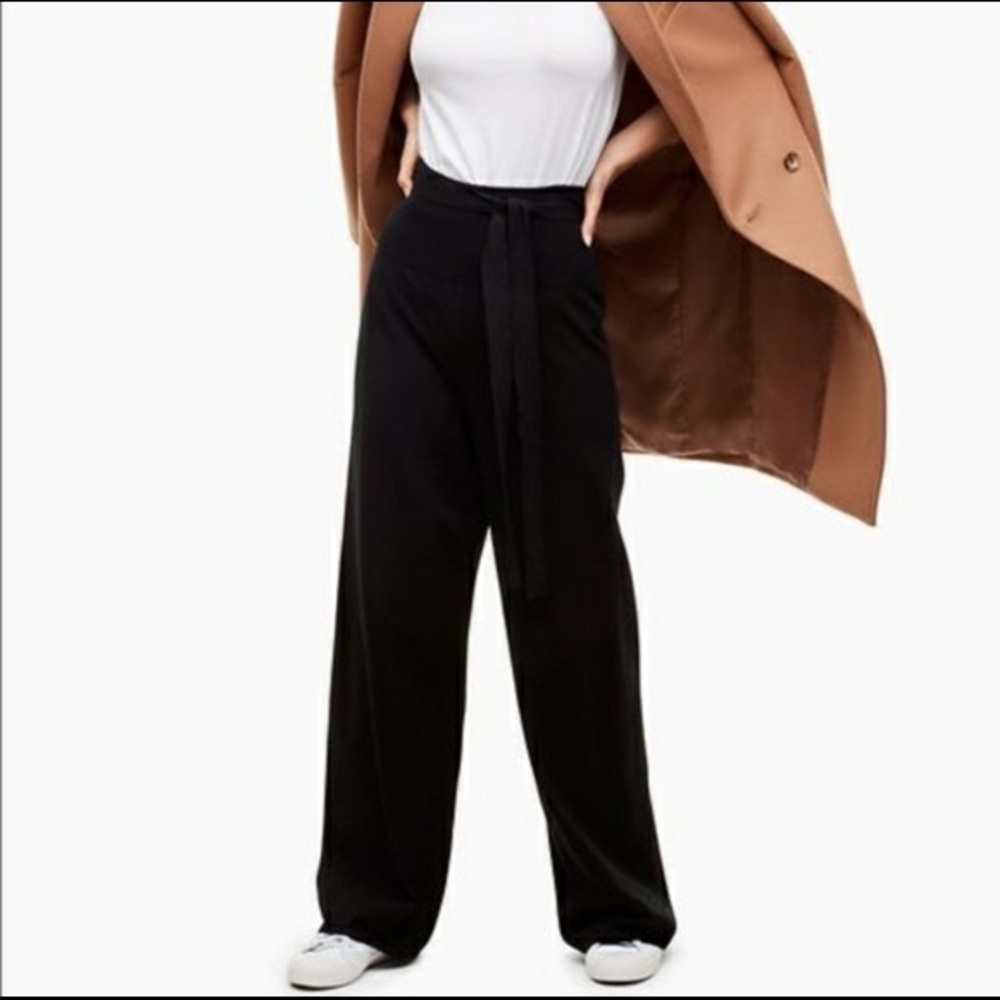 Aritzia Babaton The Group wide leg stretchy COMFY tie waist wool pants